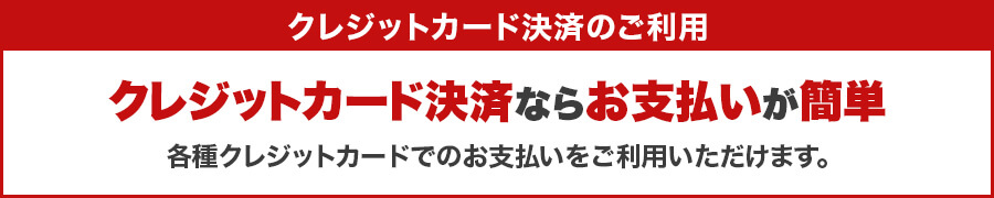 各種クレジットカードでの支払い